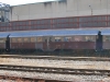 שם הקובץ=Bz_38484_IMG_7158.jpg
גודל הקובץ=333ק Bz_38484_IMG_7158.jpg