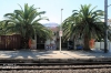 Nome del file=TortoretoLidoFV_IMG_11963.jpg
Dimensione del file=500KiB
Dimensioni=1152x768
Aggiunta il=22 Gen 2018 TortoretoLidoFV_IMG_11963.jpg